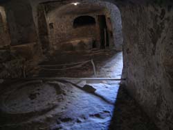 DSCN3196