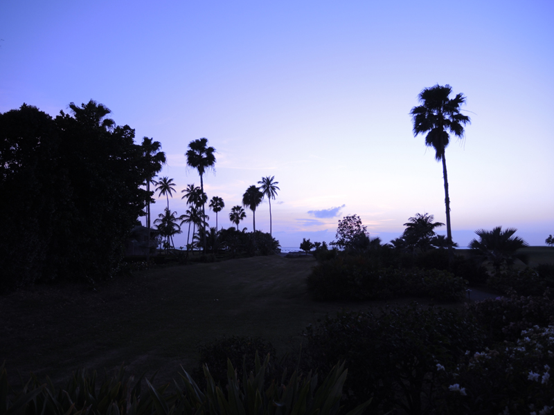 Nevis_031815_008