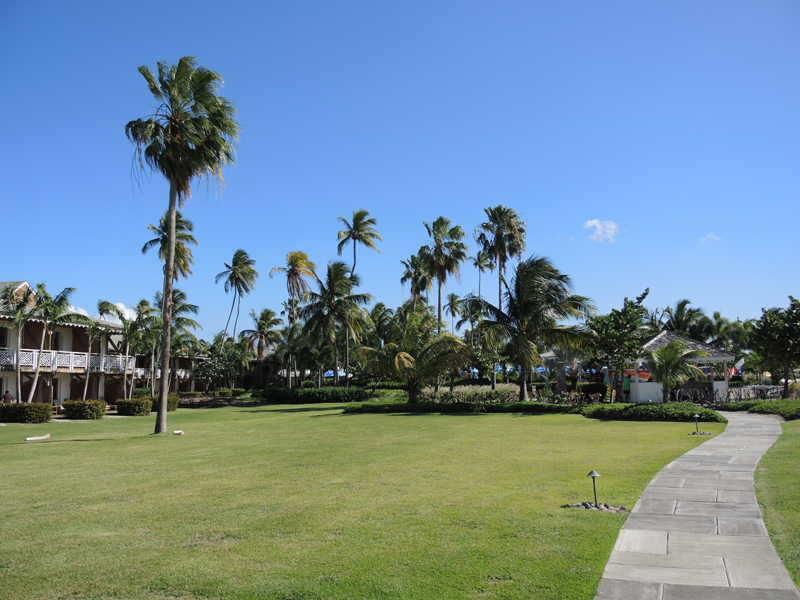 Nevis_031915_015