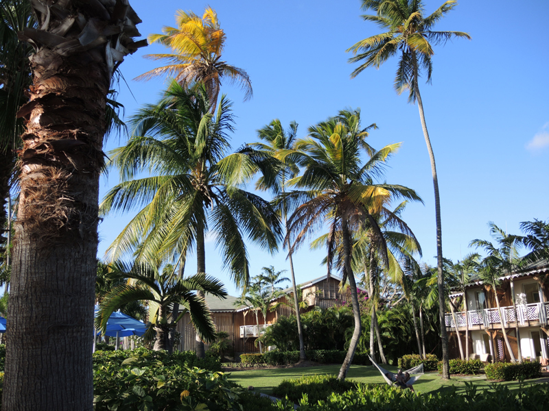 Nevis_031915_020