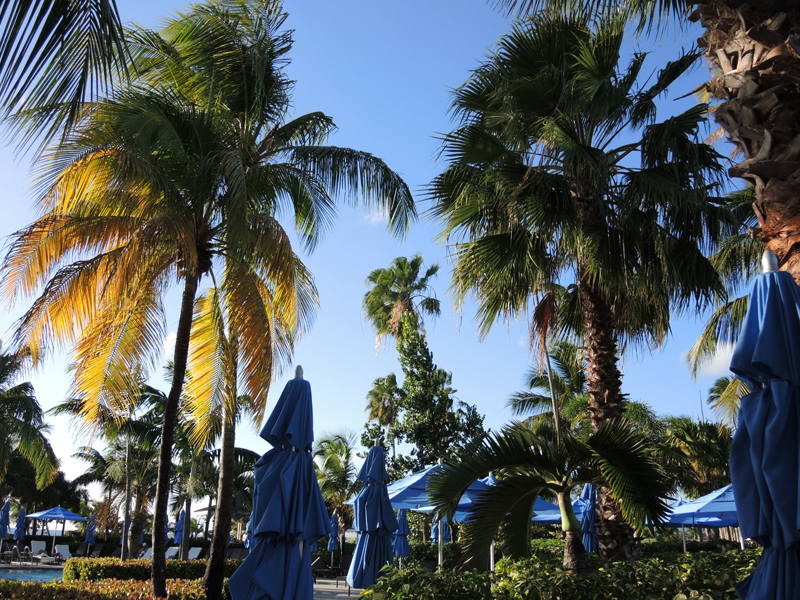 Nevis_031915_022