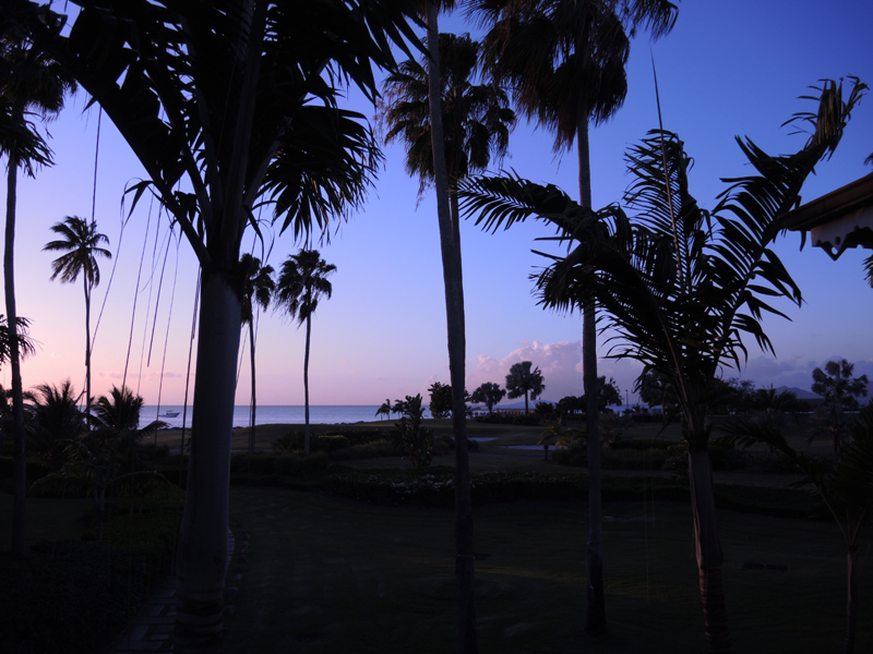 Nevis_031915_039