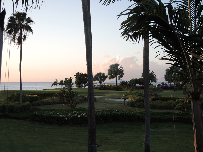Nevis_031915_040