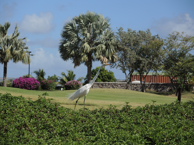 Nevis_032015_007