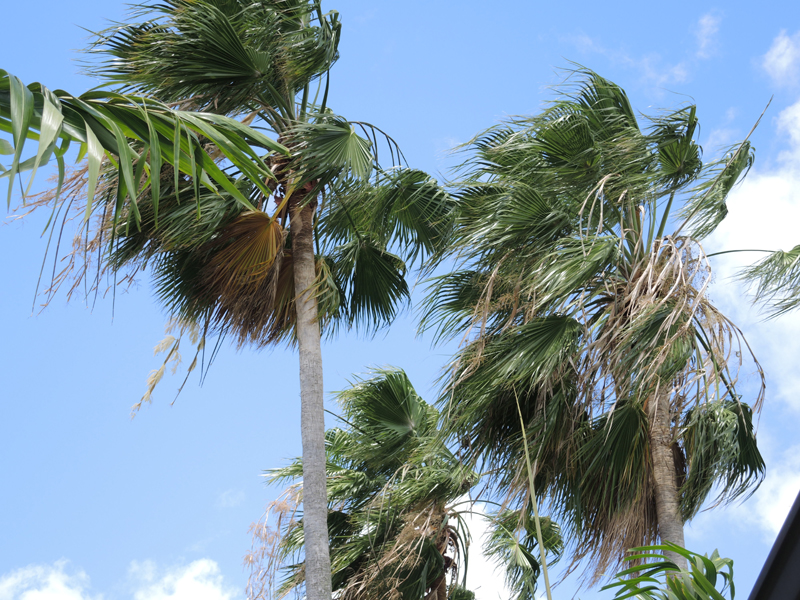 Nevis_032015_012