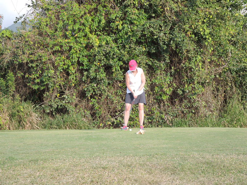 Nevis_032015_016