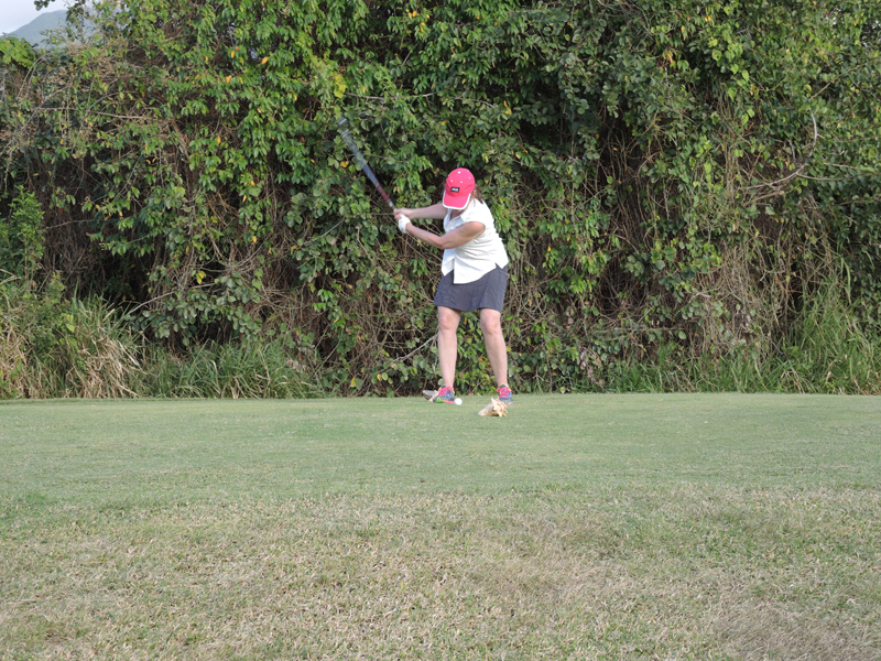 Nevis_032015_017