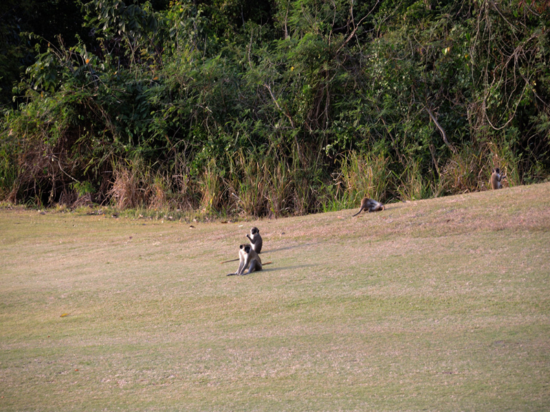 Nevis_032015_022