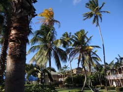 Nevis_031915_019
