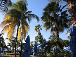 Nevis_031915_022