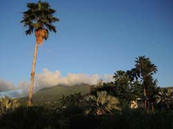 Nevis_031915_033