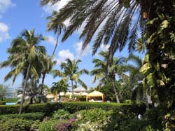 Nevis_032015_009