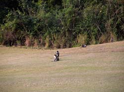 Nevis_032015_022