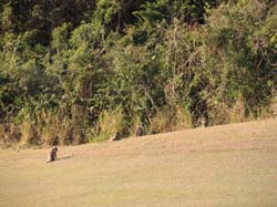 Nevis_032015_024