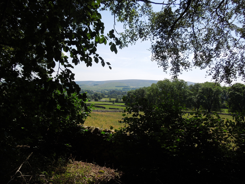 DSCN0928