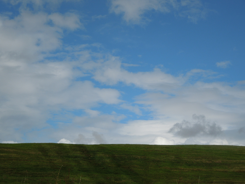 DSCN1025
