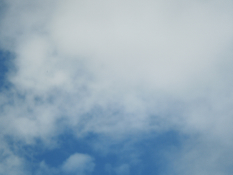 DSCN1026