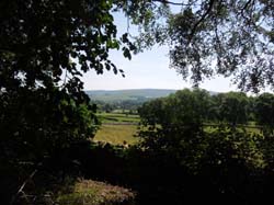 DSCN0928