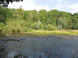DSCN0939