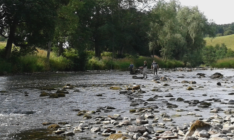 20140726_094210