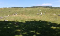 20140725_131523